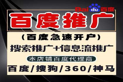 解析SEM托管的关键词策略——以某公司为例
